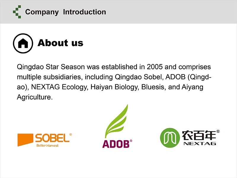 Showroom